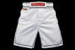 Photo2: BULL TERRIER Fight Shorts RANK 3.0 White (2)