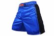 Photo1: BULL TERRIER Fight Shorts RANK 3.0 Blue (1)