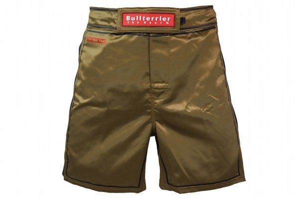 Photo2: BULL TERRIER Fight Shorts RANK 3.0 Brown  (2)