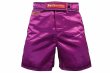 Photo2: BULL TERRIER Fight Shorts RANK 3.0 Purple (2)