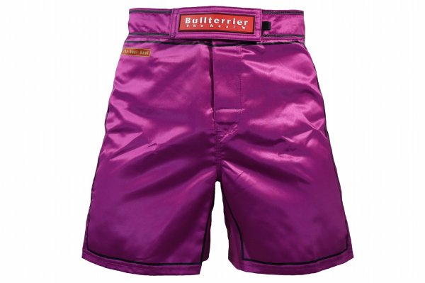 Photo2: BULL TERRIER Fight Shorts RANK 3.0 Purple (2)