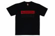 Photo1: BULL TERRIER Dry Fit T-Shirt W BOX Black/Black/Wine (1)
