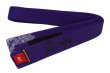 Photo1: BULLTERRIER Jiu Jitsu Belt FUHAI SPECIAL EDITION Purple (1)