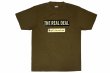 Photo1: BULL TERRIER T-Shirts STEEL LOGO Olive (1)