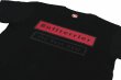 Photo3: BULL TERRIER T-Shirt WBOX Black/Burgundy/Black (3)