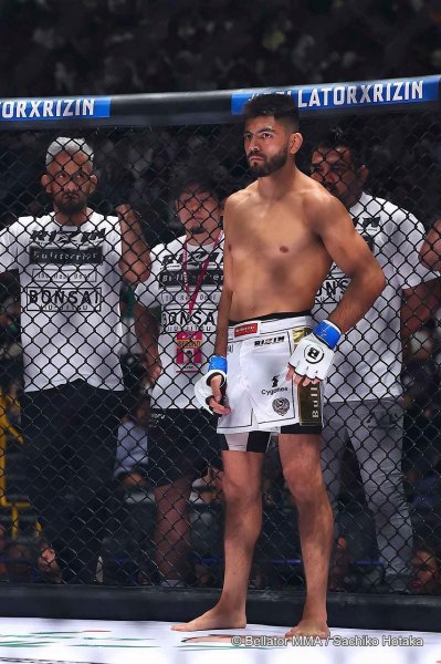 Photo5: BULL TERRIER T-Shirt WBOX Green (5)