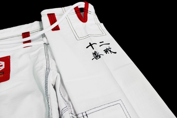 Photo8: BULLTERRIER Jiu Jitsu Gi SAZEN R White (8)