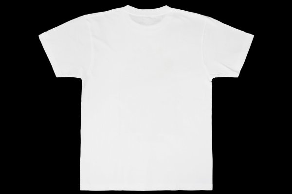 Photo2: BULL TERRIER KLEBER KOIKE Lion T-Shirt White (2)