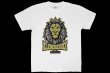 Photo1: BULL TERRIER KLEBER KOIKE Lion T-Shirt White (1)
