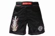 Photo1: BULL TERRIER Fight Shorts ACALA 2.0 Black (1)