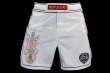 Photo1: BULL TERRIER Fight Shorts ACALA 2.0 White (1)