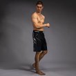 Photo2: VENUM x TEKKEN 8 Fight Shorts JIN KAZAMA Blue/Black/White (2)