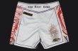 Photo5: BULL TERRIER Fight Shorts ACALA 2.0 White (5)