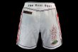 Photo3: BULL TERRIER Fight Shorts ACALA 2.0 White (3)