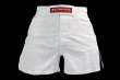 Photo1: BULL TERRIER Fight Shorts Short Fit CUSTOM BASE White (1)