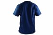 Photo7: BULL TERRIER T-Shirt 4BOX Navy (7)