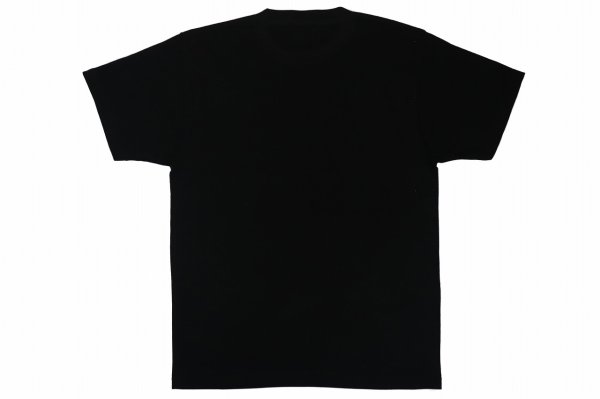 Photo2: BULL TERRIER T-Shirt 4BOX Black (2)