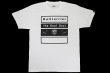 Photo1: BULL TERRIER T-Shirt 4BOX White/Black (1)