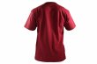 Photo7: BULL TERRIER T-Shirt 4BOX Burgundy/Beige (7)