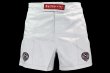 Photo1: BULL TERRIER Fight Shorts Short Fit TRADITIONAL 3.0 White (1)