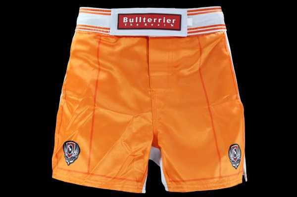 Photo1: BULL TERRIER Fight Shorts Short Fit TRADITIONAL 3.0 Orange (1)