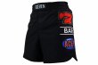 Photo1: ACE7 Fight Shorts 01 Black (1)