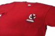 Photo3: BULL TERRIER T-Shirt JAPAN Wine (3)