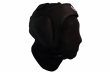 Photo6: BULL TERRIER Ear Guard 3.0 (6)