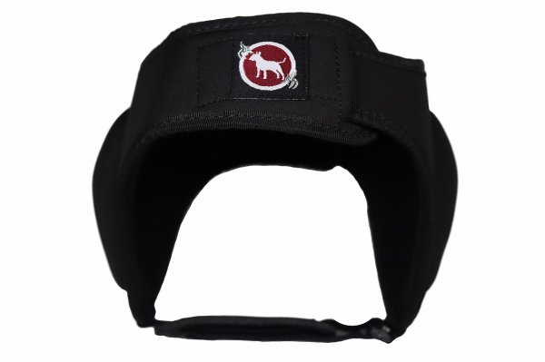 Photo1: BULL TERRIER Ear Guard 3.0 (1)