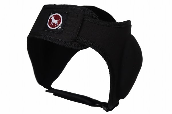 Photo2: BULL TERRIER Ear Guard 3.0 (2)