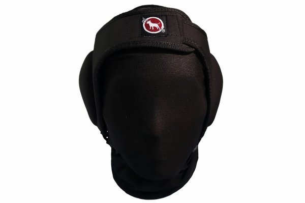 Photo4: BULL TERRIER Ear Guard 3.0 (4)