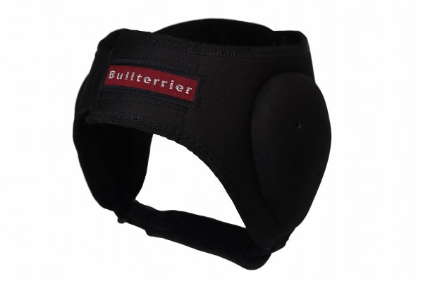 Photo3: BULL TERRIER Ear Guard 3.0 (3)