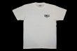 Photo1: BULL TERRIER T-Shirt CLASSIC LOGO White Cream (1)