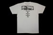 Photo2: BULL TERRIER T-Shirt CLASSIC LOGO White Cream (2)