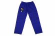 Photo4: BULLTERRIER KIDS Jiu Jitsu Gi FLAGSHIP R Blue (4)