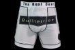 Photo1: BULL TERRIER Spats TRIBAL White (1)