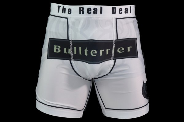 Photo1: BULL TERRIER Spats TRIBAL White (1)