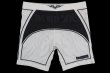Photo5: BULL TERRIER Spats TRIBAL White (5)