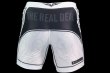 Photo3: BULL TERRIER Spats TRIBAL White (3)