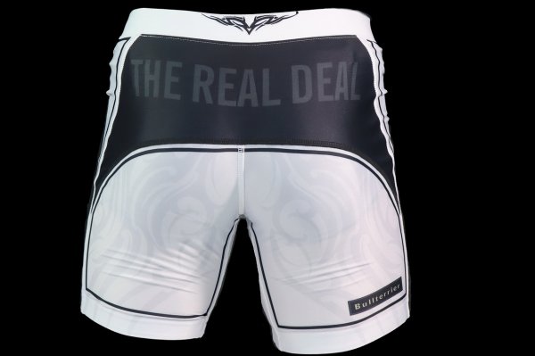 Photo3: BULL TERRIER Spats TRIBAL White (3)