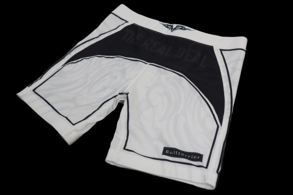 Photo7: BULL TERRIER Spats TRIBAL White (7)