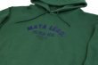 Photo3: BULL TERRIER Hoodie Parka MATA LEÃO Green (3)