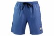 Photo1: BULL TERRIER Training Shorts STANDARD Blue/Gay (1)