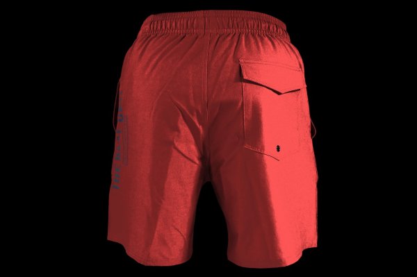 Photo3: BULL TERRIER Training Shorts STANDARD Wine (3)