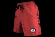Photo2: BULL TERRIER Training Shorts STANDARD Wine (2)