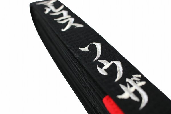 Photo9: Belt  Embroidery Processing 1 character or more (9)