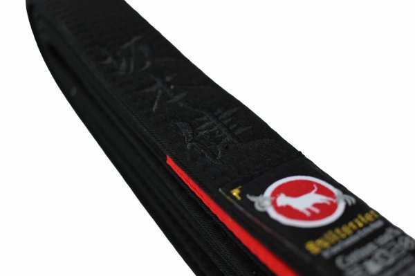 Photo10: Belt  Embroidery Processing 1 character or more (10)