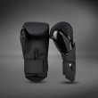 Photo3: VENUM Boxing Glove CHALLENGER 4.0 Black/Black (3)