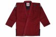 Photo1: BULLTERRIER Jiu Jitsu Gi BASIC R2 Wine (1)