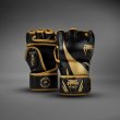 Photo1: VENUM MMA Glove CHALLENGER 2.0 Black/Gold (1)